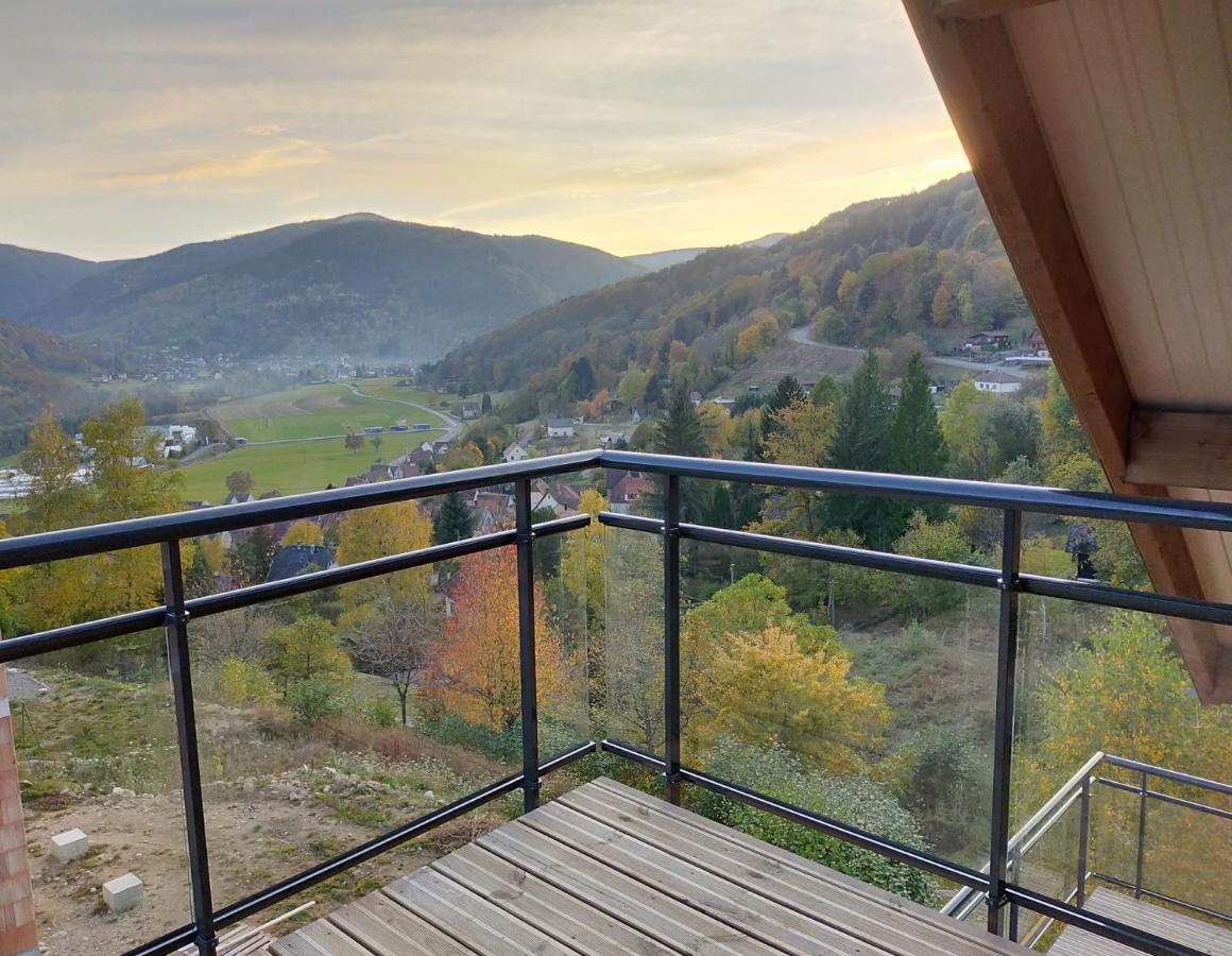 Au Chalet De Jo Muhlbach-sur-Munster Exteriér fotografie