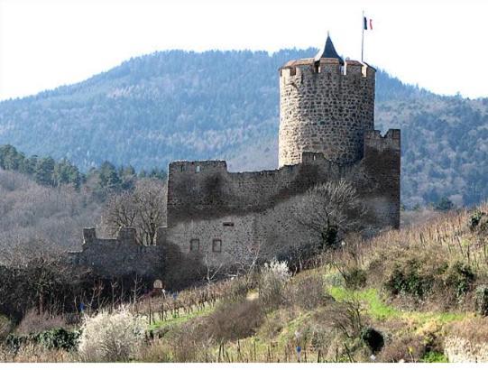 Au Chalet De Jo Muhlbach-sur-Munster Exteriér fotografie
