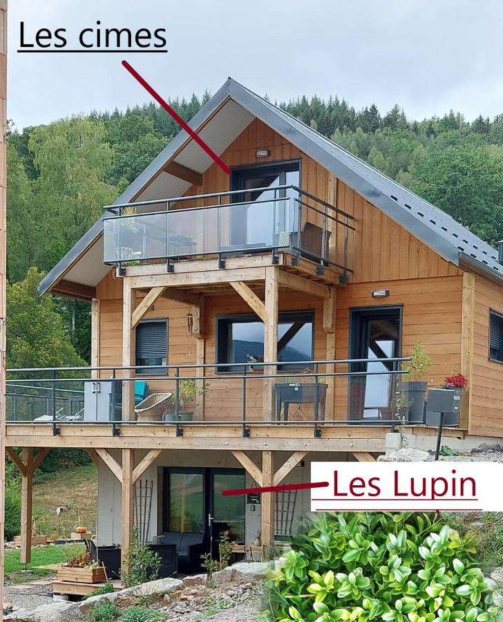 Au Chalet De Jo Muhlbach-sur-Munster Exteriér fotografie