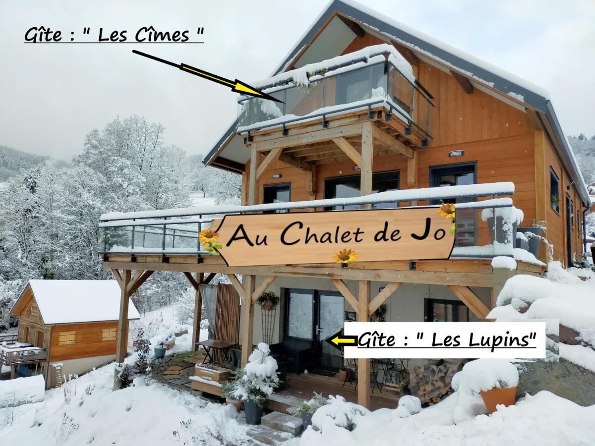 Au Chalet De Jo Muhlbach-sur-Munster Exteriér fotografie